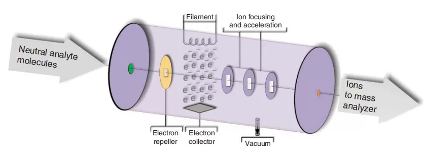 Schematic diagram of an electron ionization (EI) source (Correa Ceballos and Niessen, 2017)